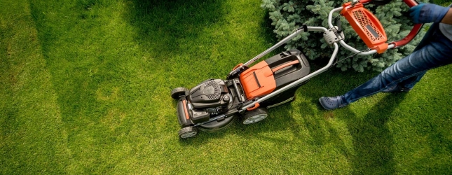 Mimsan Toplu Yapı Site Yönetimi