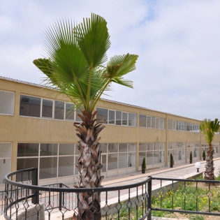 Mimsan Toplu Yapı Site Yönetimi