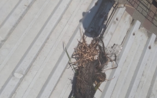 Mimsan Toplu Yapı Site Yönetimi