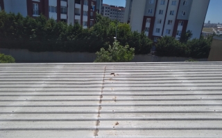 Mimsan Toplu Yapı Site Yönetimi