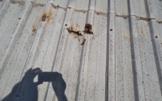 Mimsan Toplu Yapı Site Yönetimi