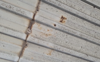 Mimsan Toplu Yapı Site Yönetimi