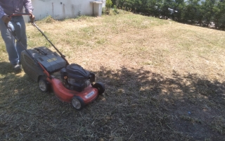 Mimsan Toplu Yapı Site Yönetimi