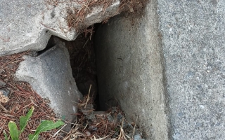 Mimsan Toplu Yapı Site Yönetimi