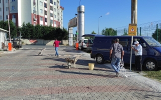 Mimsan Toplu Yapı Site Yönetimi