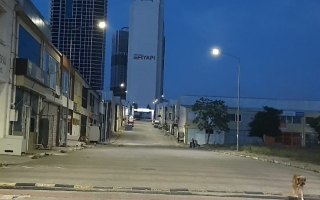 Mimsan Toplu Yapı Site Yönetimi